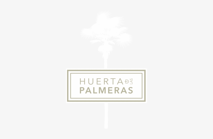 Un Lugar Privilegiado - Sabal Palmetto, transparent png download