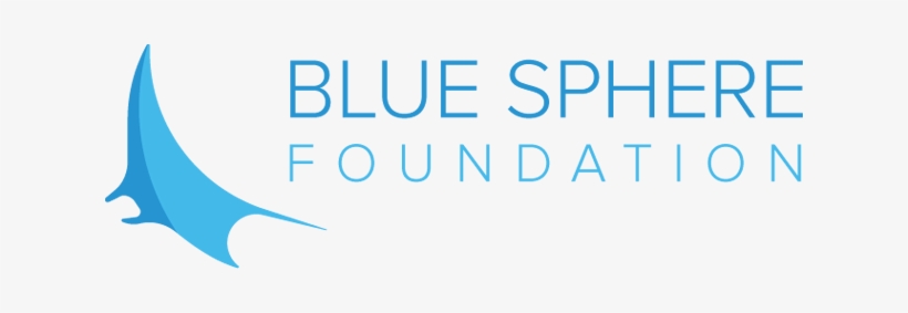 Bluespherefoundation - Blue Sphere Foundation Logo, transparent png download