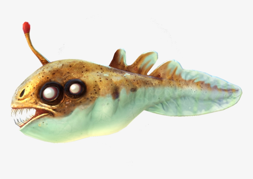 Everything In Existence - Fauna, transparent png download