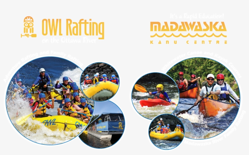 Whitewater Rafting, Kayaking And Canoeing With Owl - River Rafting And Canoeing, transparent png download