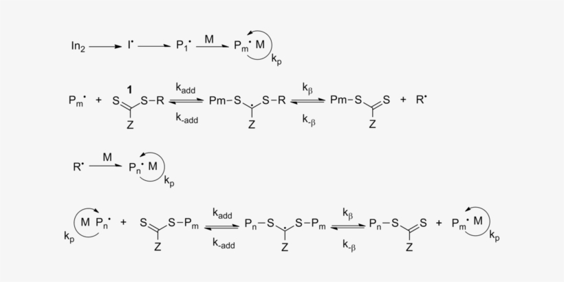 320 × 165 Pixels - Fatty Acyl Coa Synthetase Mechanism, transparent png download