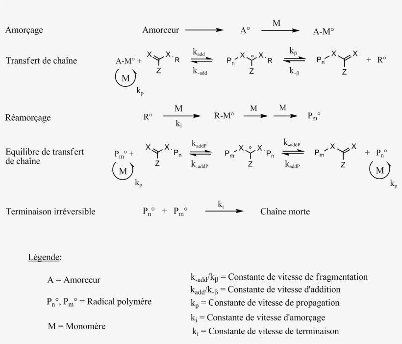Mécanisme De Polymérisation De Type Raft - Handwriting, transparent png download