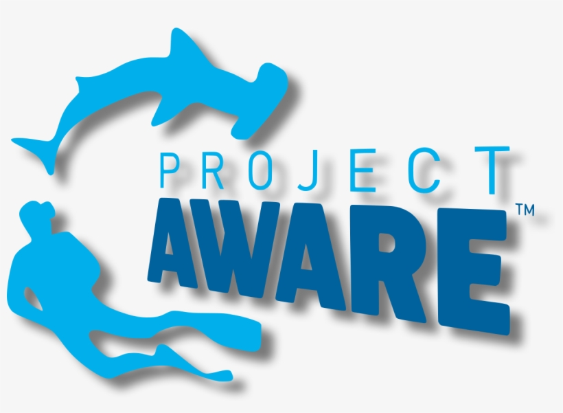 Project Aware Png, transparent png download
