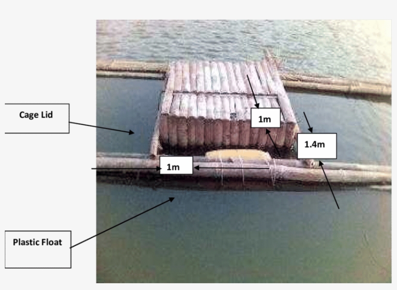 A Bamboo Cage Attached To A Raft And Floated Using - Water Transportation, transparent png download