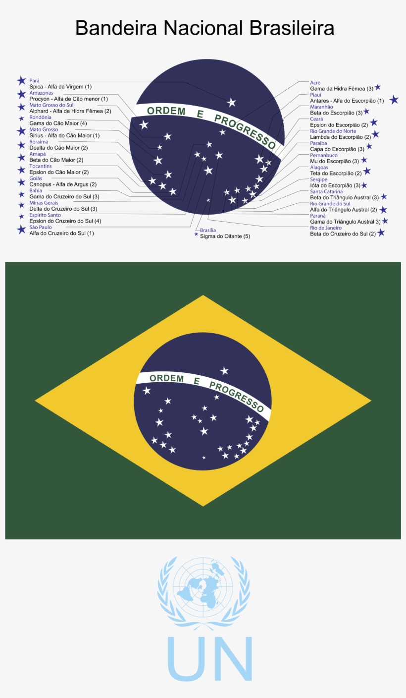 Bandeirado Brasil2 Logo Png Transparent - World Cup Champion Brazil, transparent png download