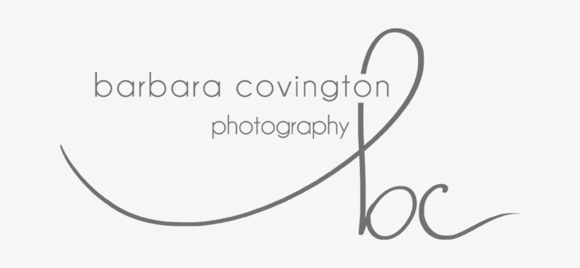 Barbara B Covington Photography Georgia Based Modern - B Logo Photography Transparent, transparent png download