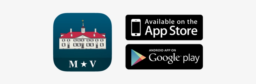 Download The App - Ez Share 16gb Wifi Share Class 10 Sd Memory Card, transparent png download