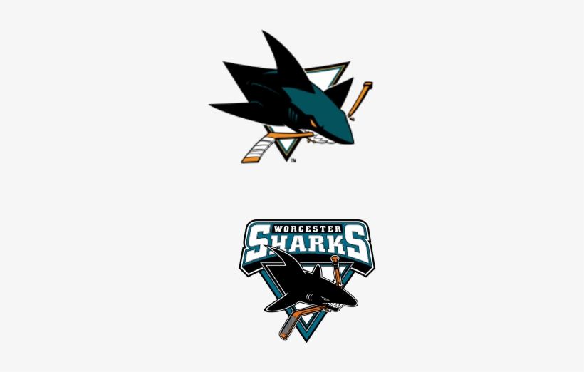 Antti - San Jose Sharks, transparent png download