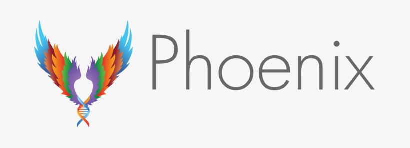 Design, Build, Test, Learn - Design Transparent PNG - 681x216 - Free ...