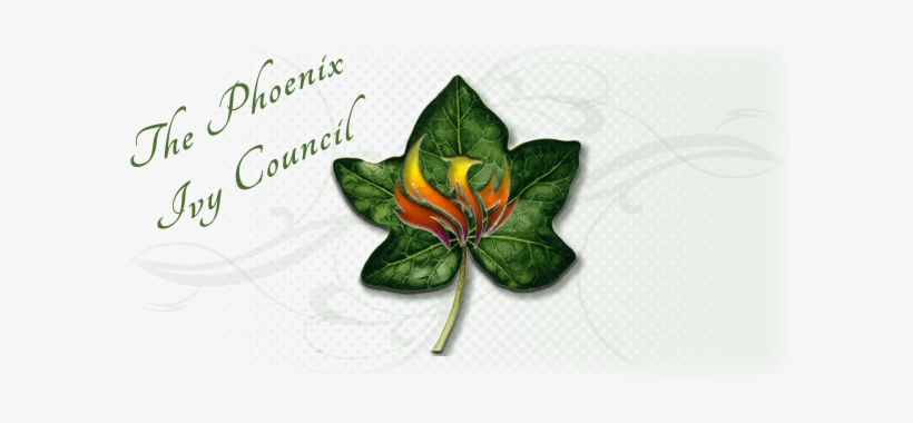 May 5, 2018 Phoenix, Az - Arizona, transparent png download