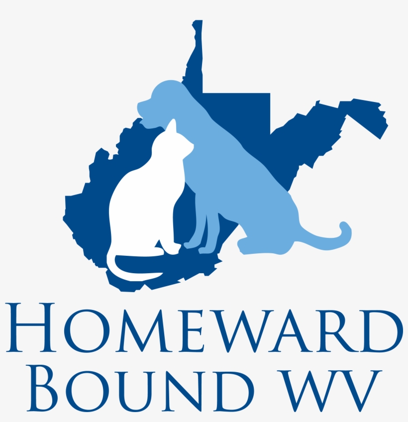 Using Amazonsmile Is Simple And Links Directly To Your - West Virginia State Mirror License Plate - Silver, transparent png download