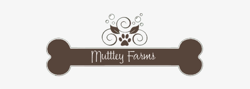 Donation Certificate In Memory, transparent png download