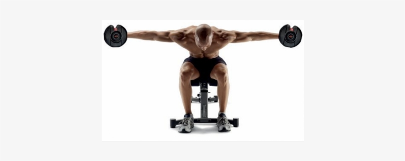 Back Dumbbell Exercises, transparent png download
