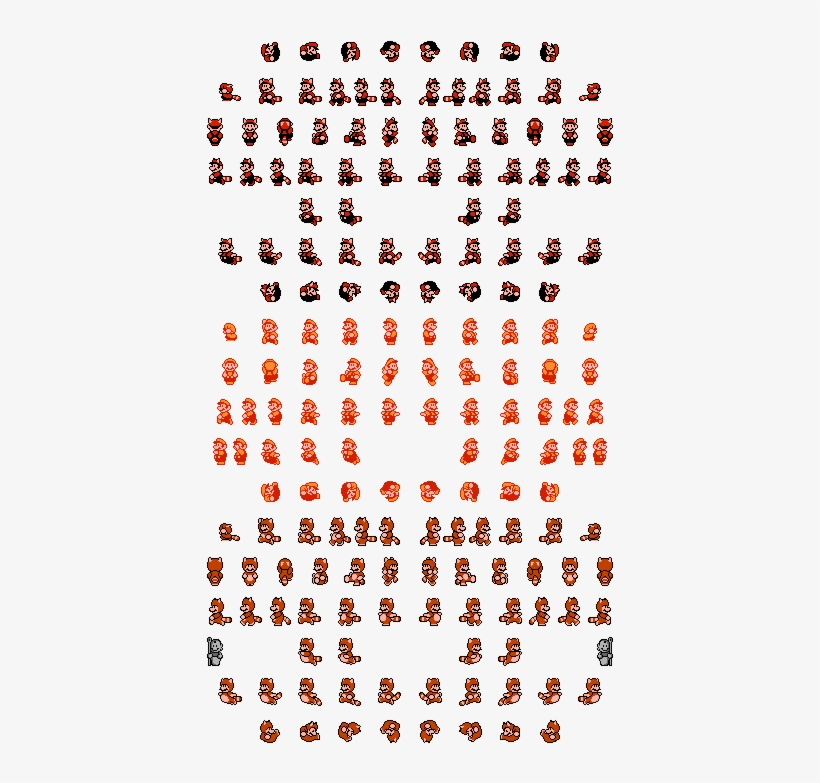 Photo - Photograph, transparent png download