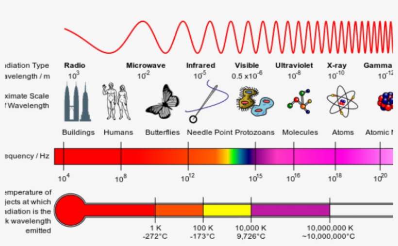 Spectrum X Rays