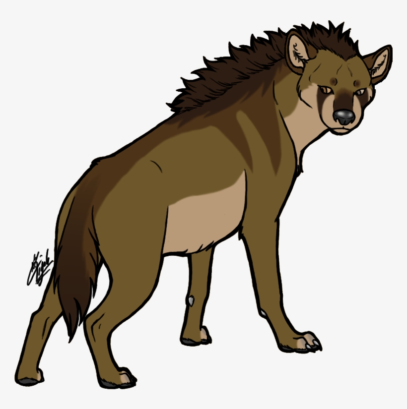 Staring Hyena - Hyena, transparent png download