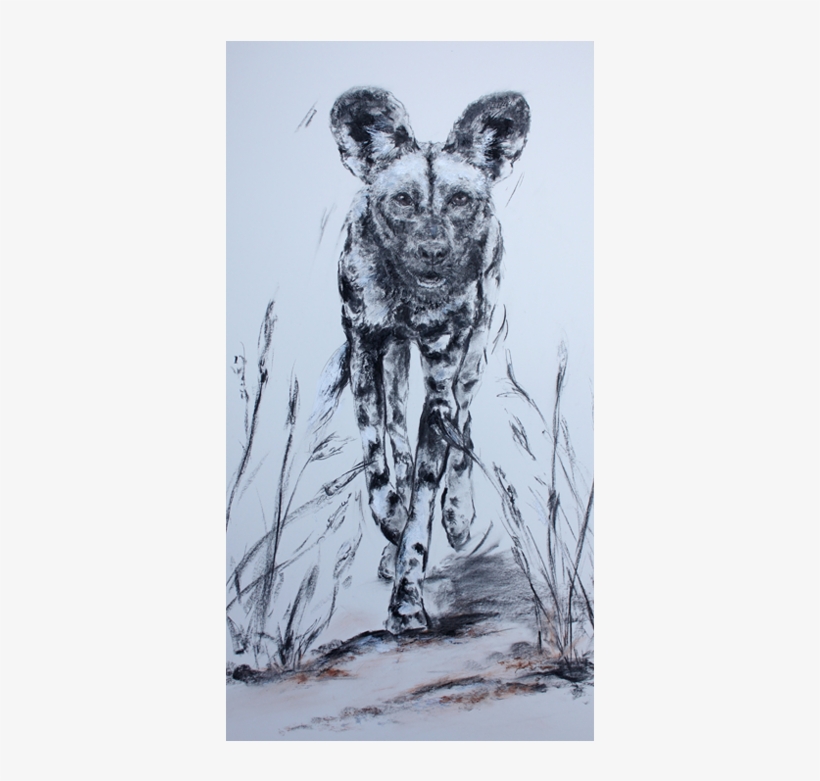 Wild Dog Country - Lycaon Pictus, transparent png download