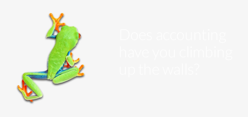 Lsd Climbing Walls Banner2 - Climbing Wall, transparent png download