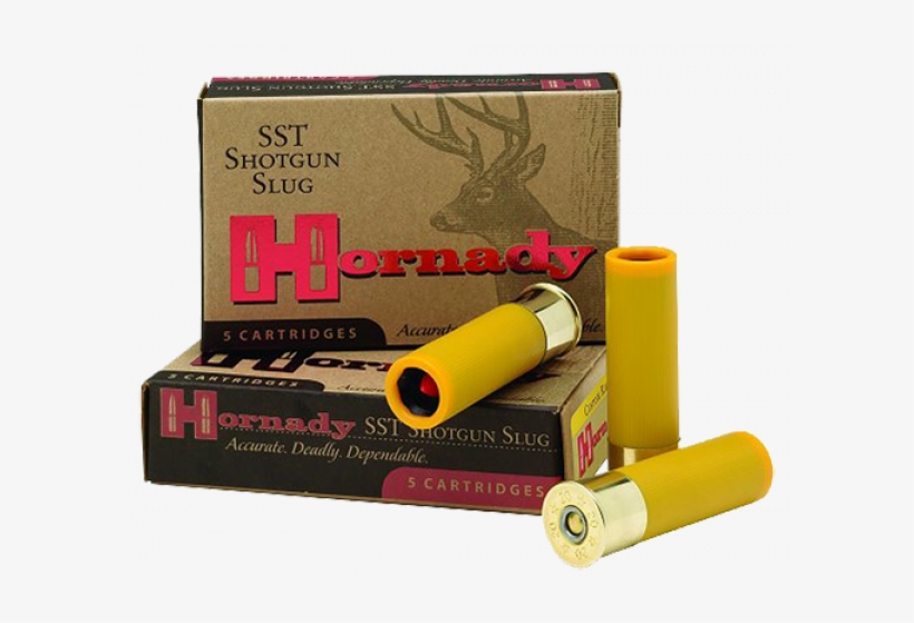 Hornady 86232 Sst 20 Gauge - Hornady Ammo 20 Ga Slug 250 Gr Sst, transparent png download