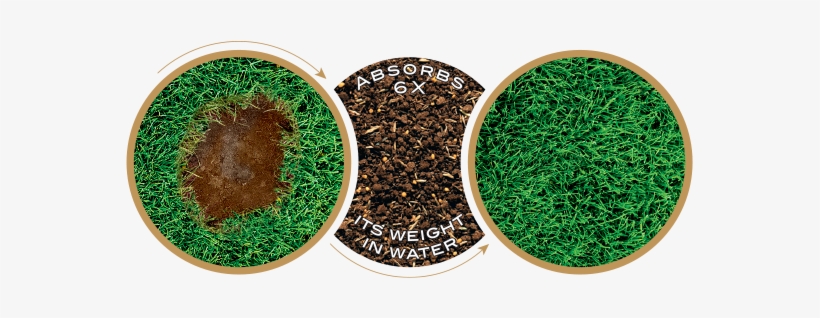 What Is Ez Seed ® - Artificial Turf, transparent png download