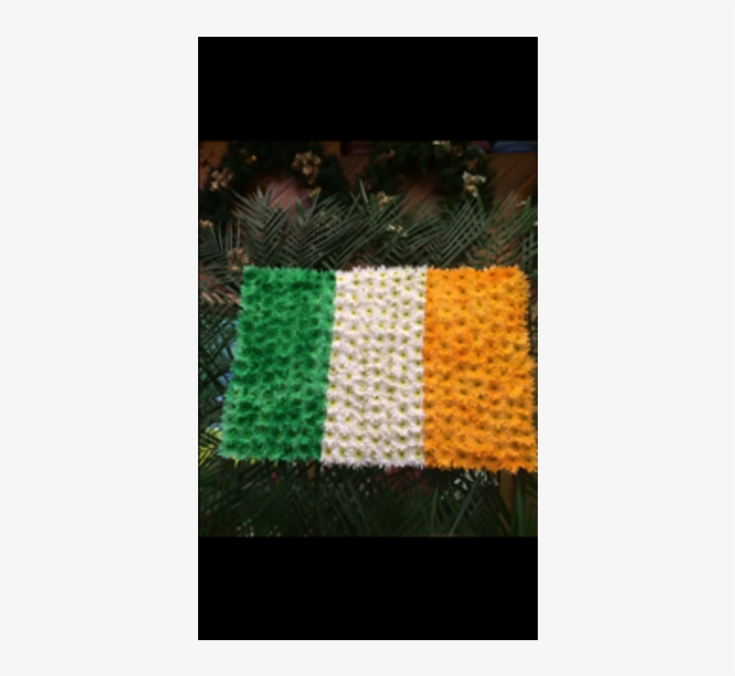 Irish Flag - - Flag, transparent png download