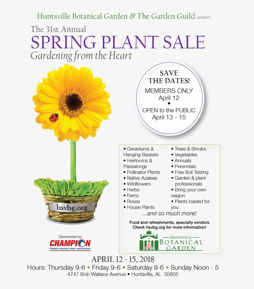 Spring Plant Sale Website - Sunflower, transparent png download