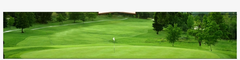 Error - Grass, transparent png download