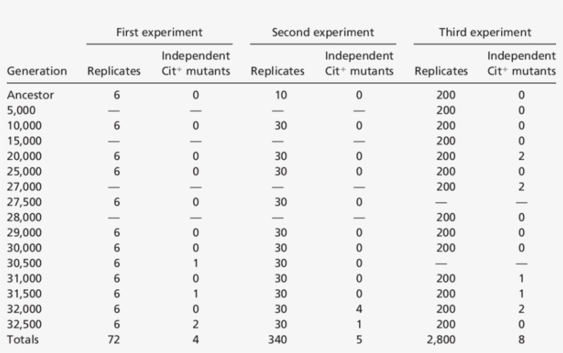 Summary Of Replay Experiments - Ribotyping, transparent png download