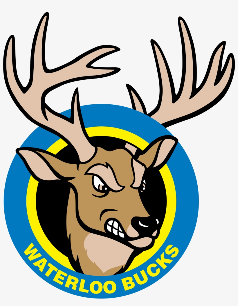 Waterloo Bucks, transparent png download