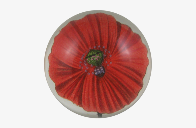 Blood Poppy Blood Poppy - Corn Poppy, transparent png download