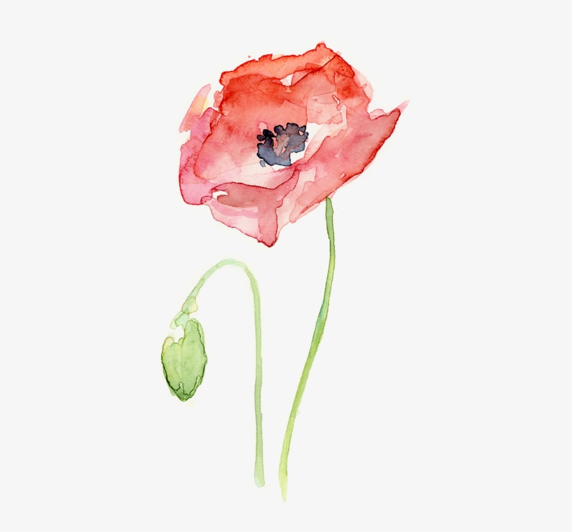 Bleed Area May Not Be Visible - Watercolor Poppy, transparent png download