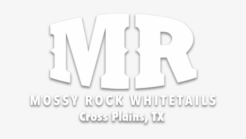 Logo - Poster, transparent png download