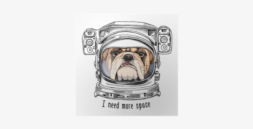 Bulldog Portrait In A Astronaut's Helmet - Astronaut Bulldog, transparent png download