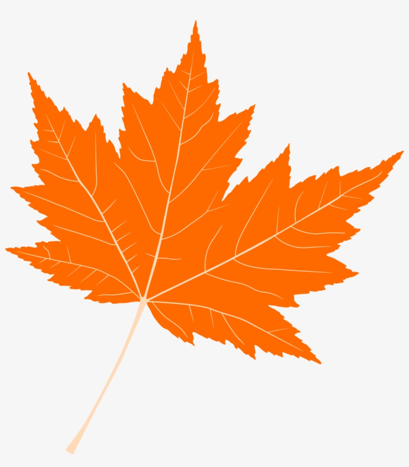 Craft & Bake Sale - Maple Leaf, transparent png download