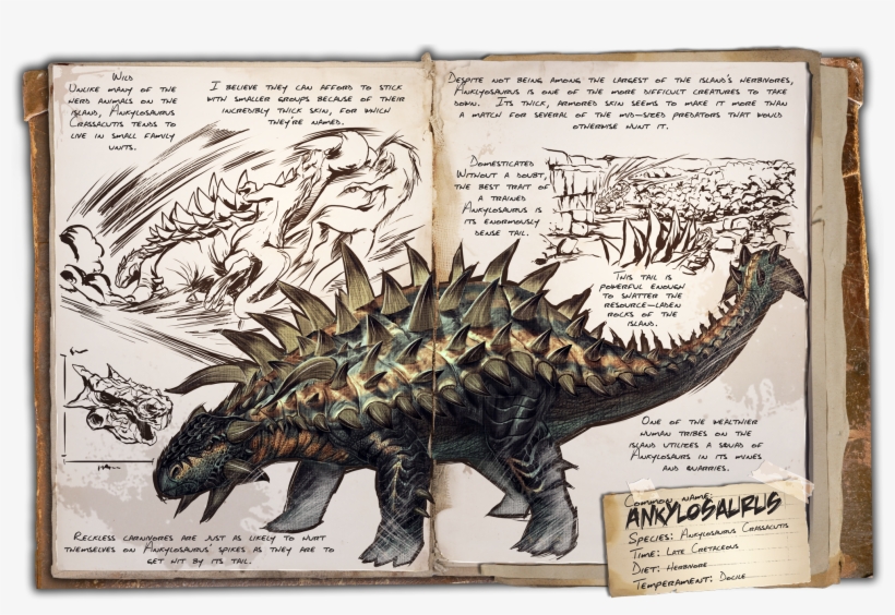 Traditional Games » Thread - Ark Survival Evolved Tous Les Dinosaures, transparent png download