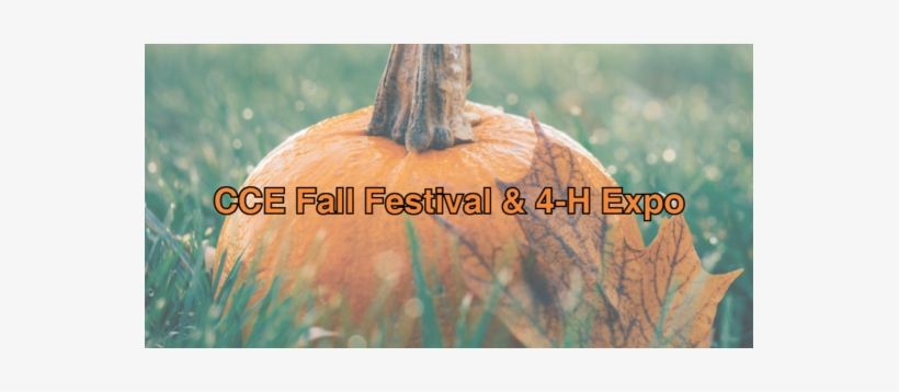 Pumpkin In Grass, transparent png download