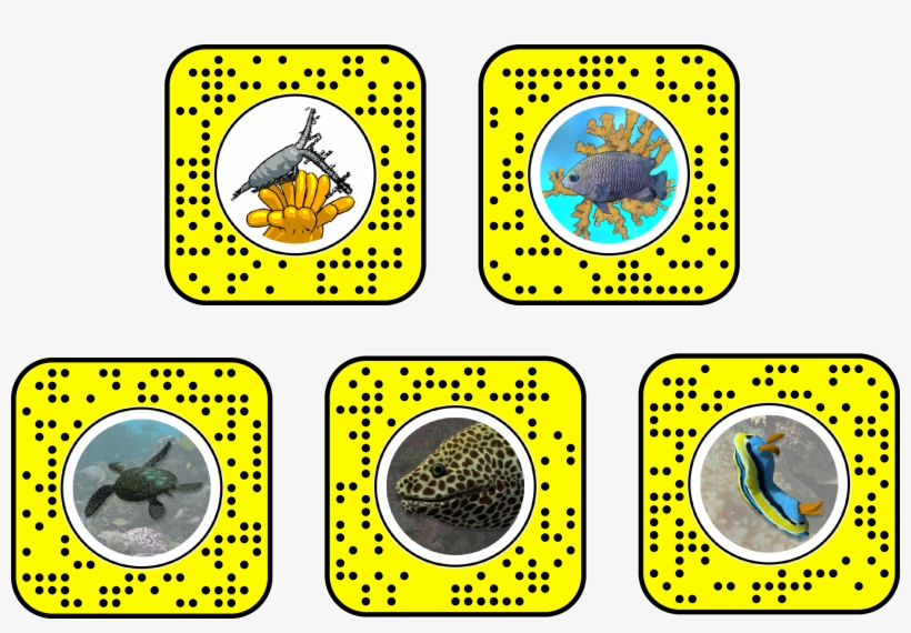 In Celebration Of Their New Planetarium Show, Expedition - Super Saiyan, transparent png download