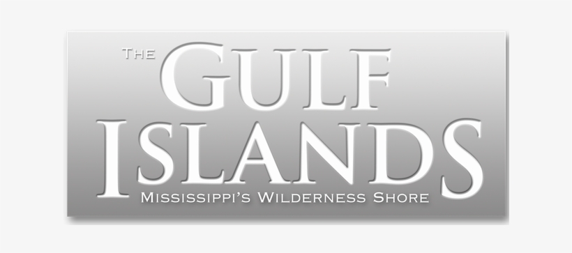 Mississippi Has A National Treasure In Our Gulf Islands - Remember The Titans Cover Page, transparent png download