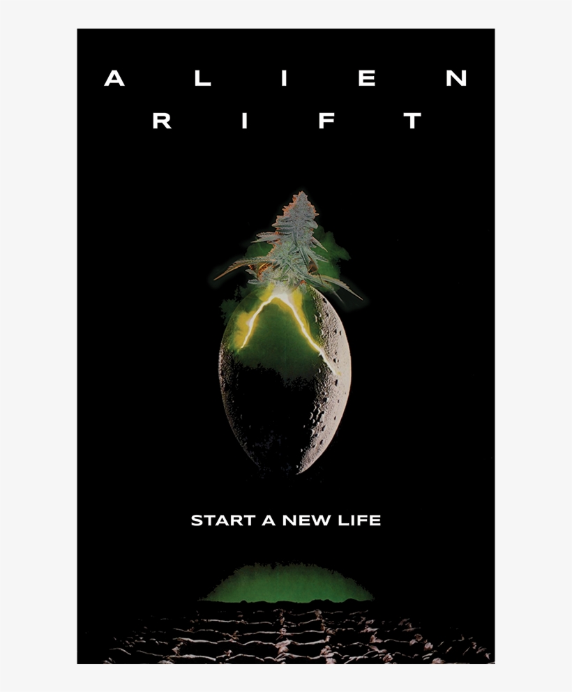 Ocean Grown Poster Pack - Alien Vault: The Definitive Story Behind The Film, transparent png download