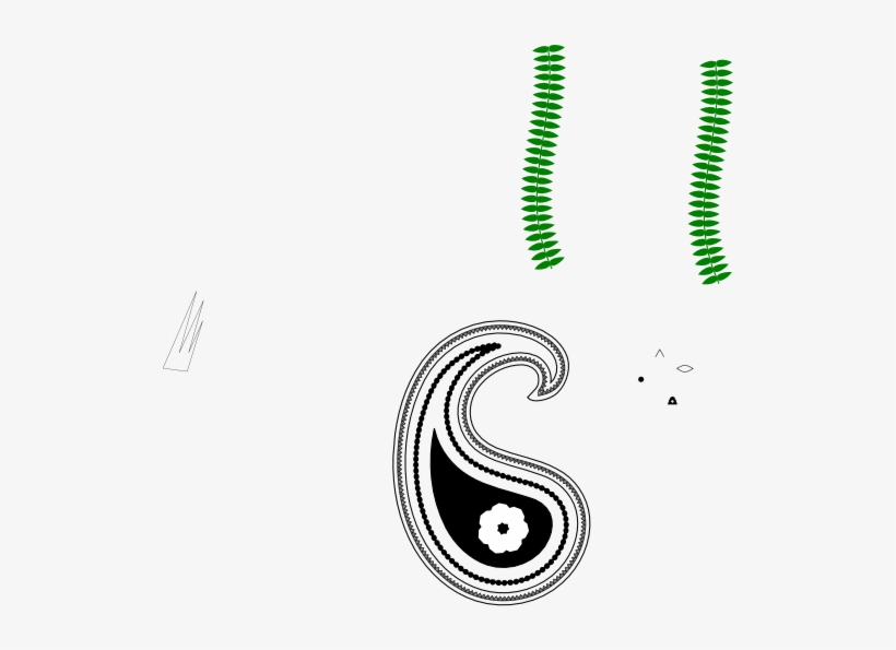 Paisley Png, transparent png download