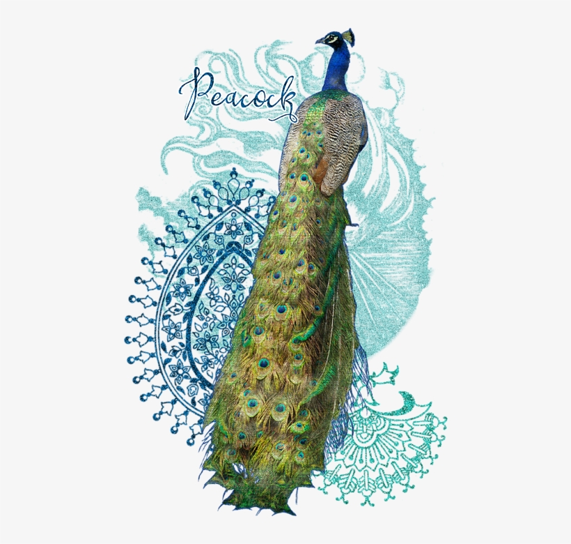 Bleed Area May Not Be Visible - Indian Peacock, transparent png download