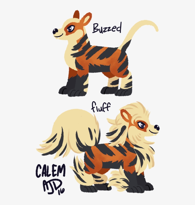 Calem Arcanine - Shaved Arcanine, transparent png download