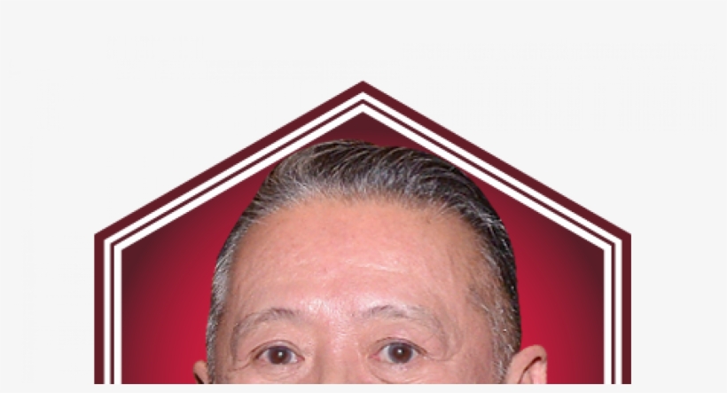 Ricco Ocampo Manila House, transparent png download
