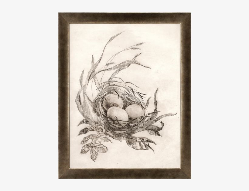 Peep - Paragon Decor Peep By Kh Studio Wall Art - 2905, transparent png download