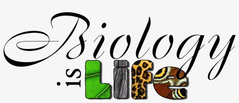 First Of All, I Decided To Take Ib Biology Hl Because - Honors Biology, transparent png download