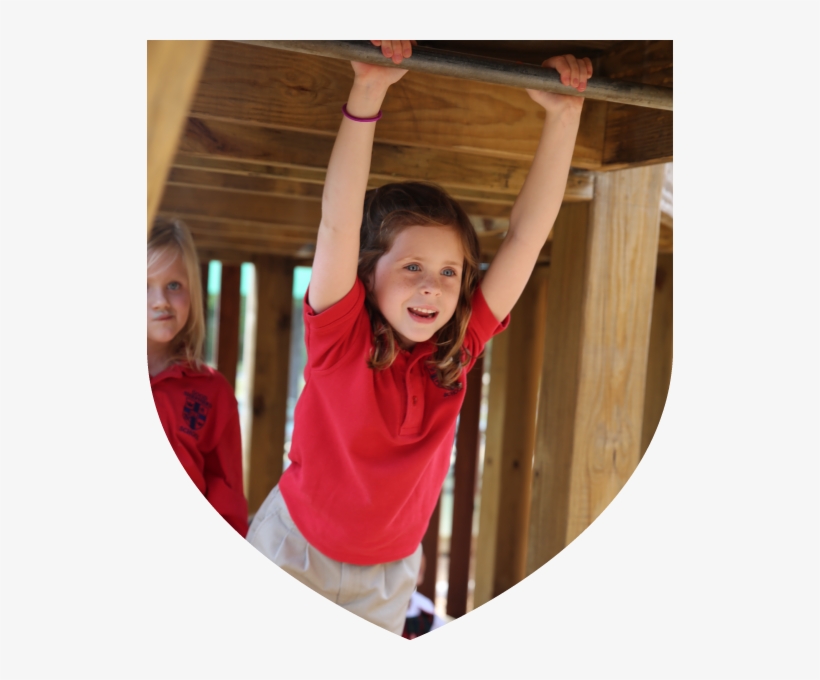 Senior Kindergarten - Portable Network Graphics, transparent png download