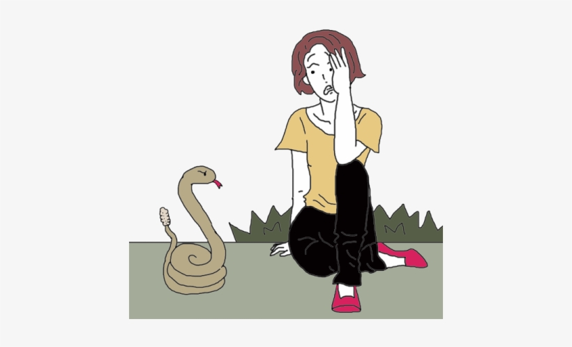 Venomous Snake - Snakes, transparent png download