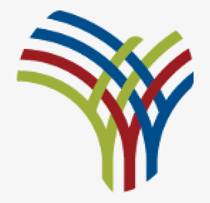 Cholera Death Toll Hits - All Africa News, transparent png download