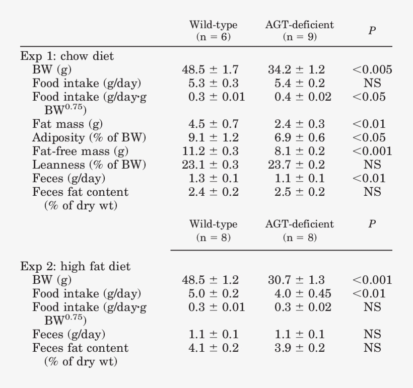 Body Weight, Food Intake, Body Composition, And Feces - Document, transparent png download