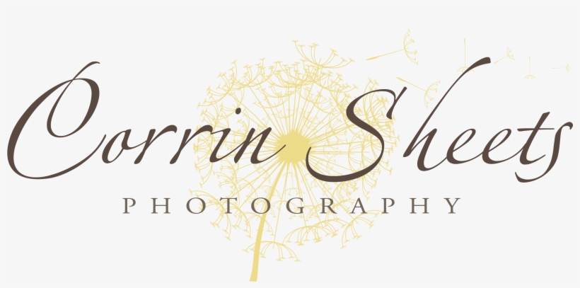 Strandresort Markgrafenheide, transparent png download
